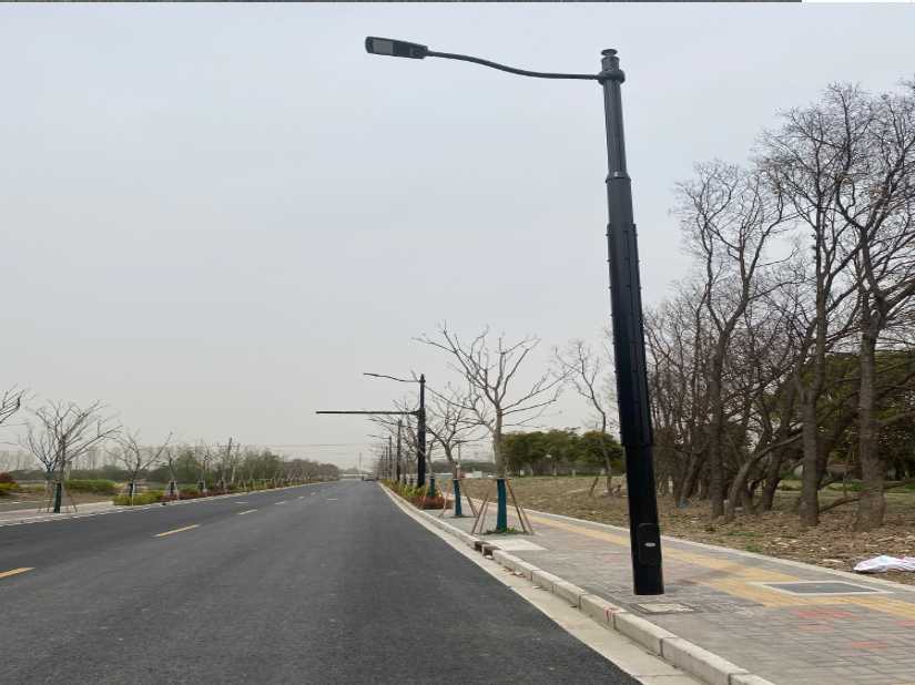 东乡族自治县上海综合杆 太阳能路灯工程